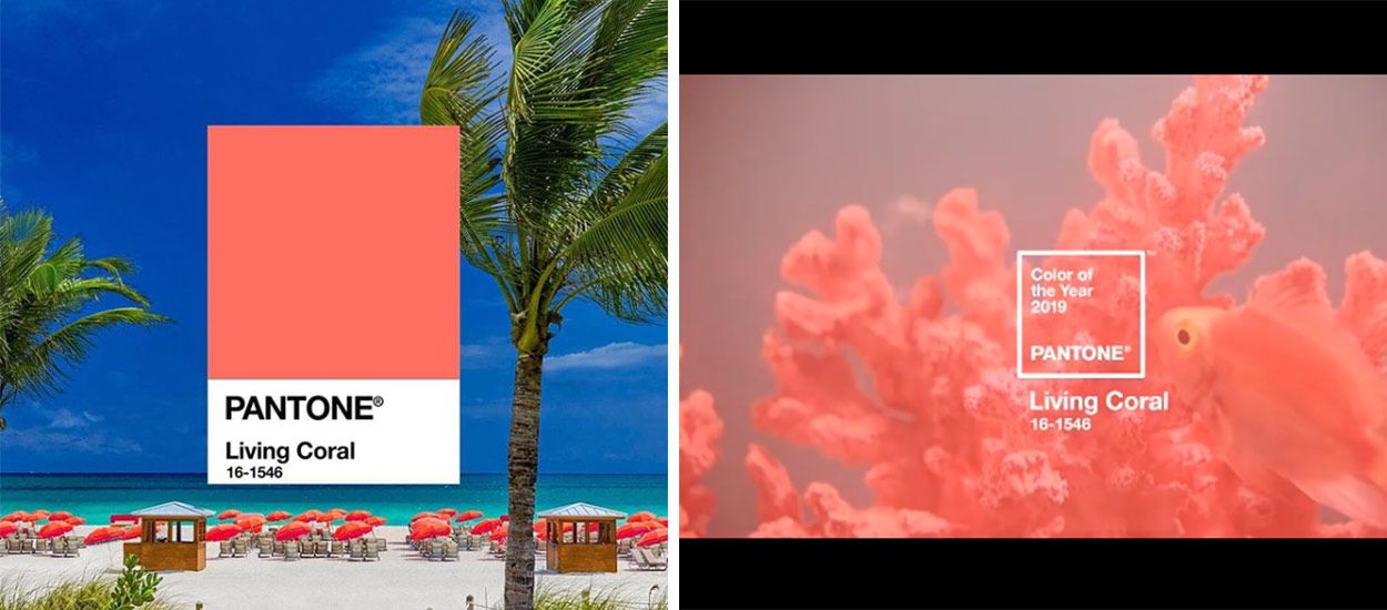 Alerte : Pantone vient de dévoiler la couleur de l'année 2019 !