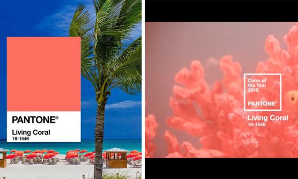 Alerte : Pantone vient de dévoiler la couleur de l'année 2019 !