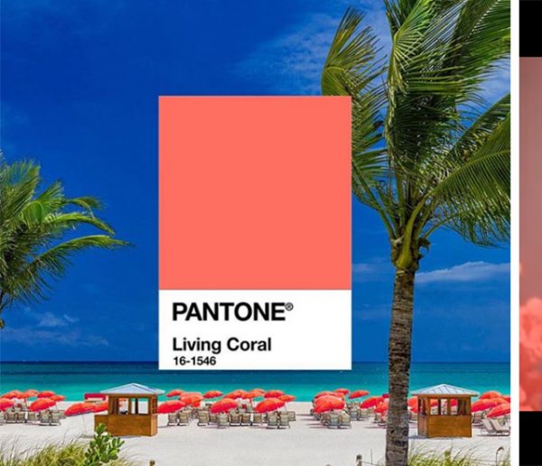 Alerte : Pantone vient de dévoiler la couleur de l'année 2019 !