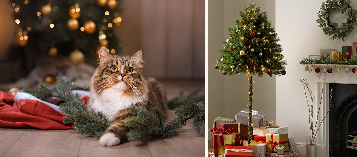 Deco De Noel Insolite Un Sapin Pour Eviter A Votre Chat De Detruire Boules Et Guirlandes Deco De Noel Insolite Un Sapin Pour Eviter A Votre Chat De Detruire Boules Et Guirlandes