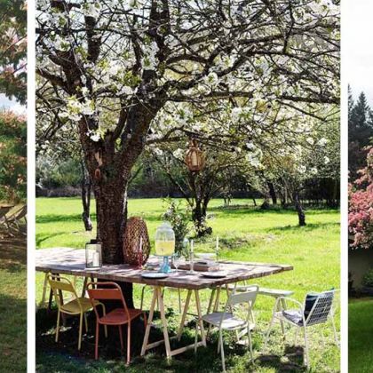Quels arbres choisir pour déjeuner à l'ombre en été ?