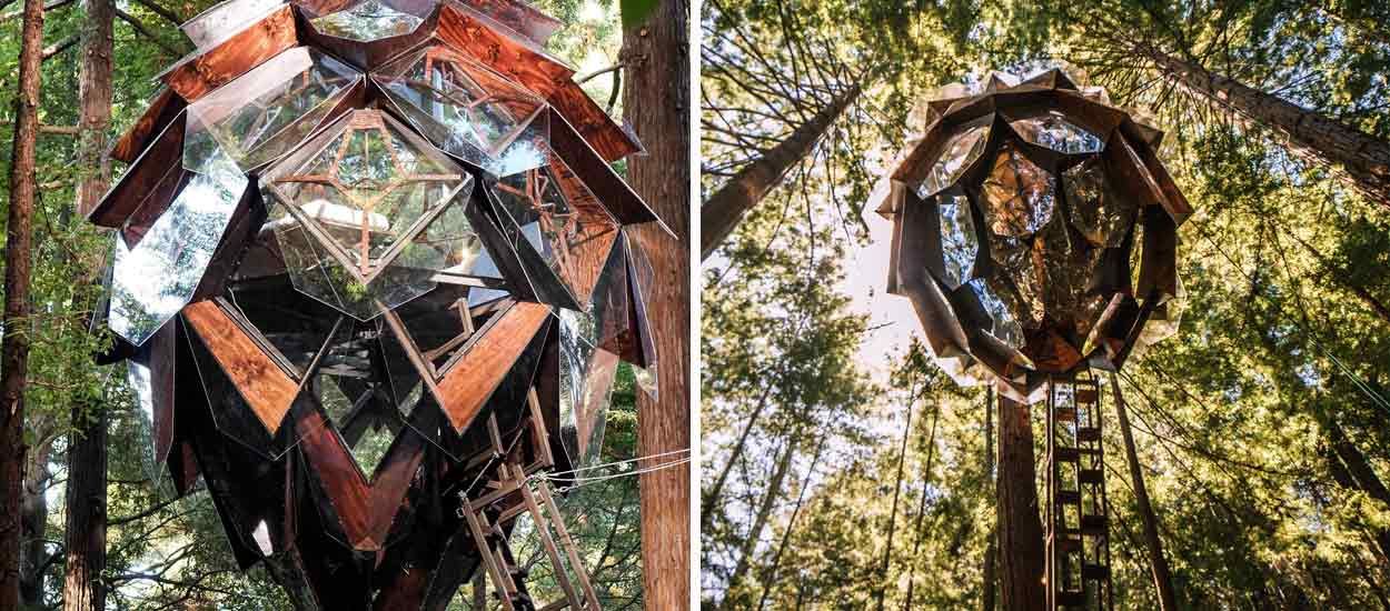 On a trouvé la cabane dans les arbres la plus originale !