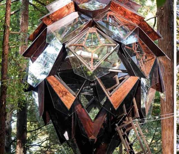 On a trouvé la cabane dans les arbres la plus originale !