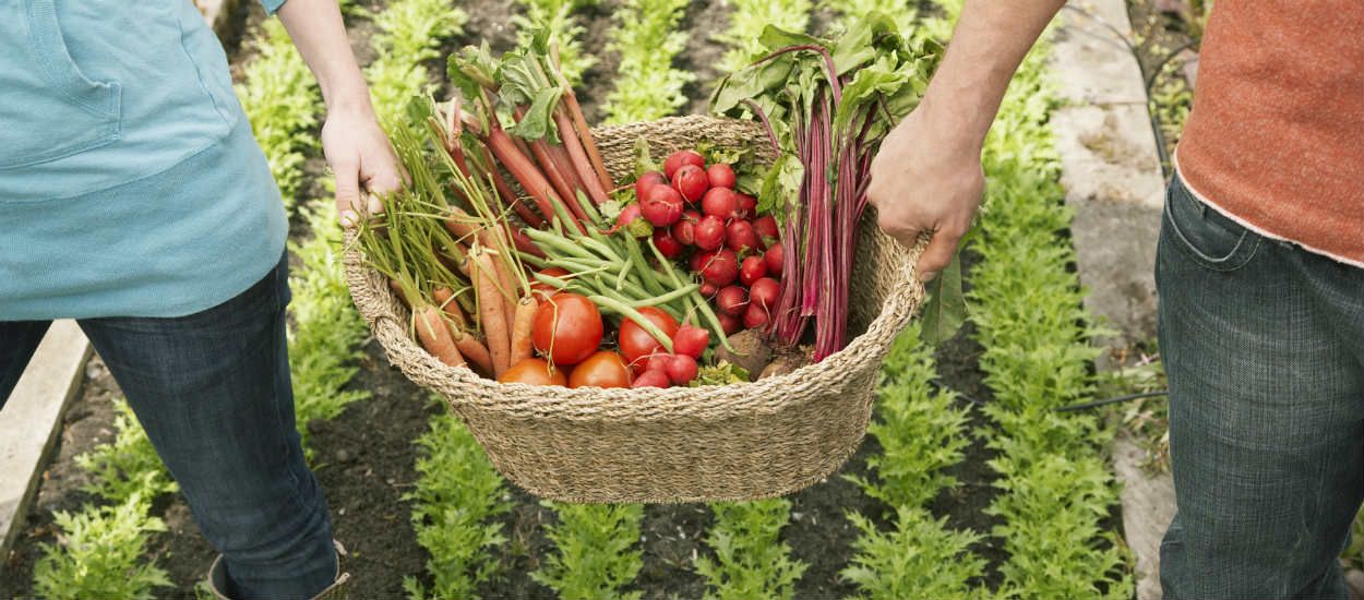 Comment trouver facilement un jardin partagé près de chez soi ?