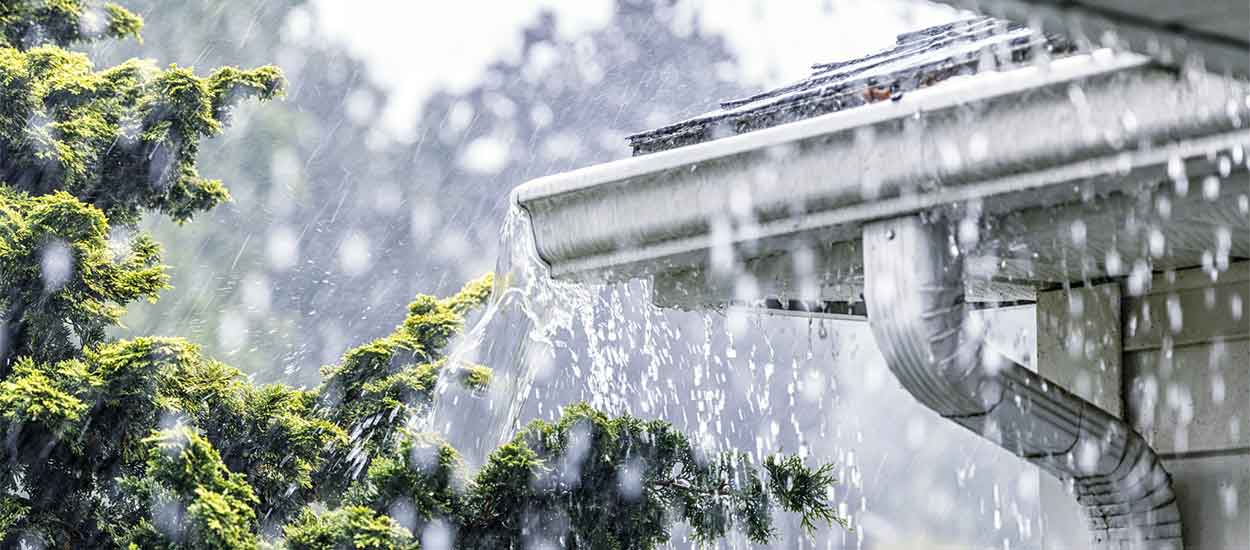 Petit guide pratique pour utiliser l'eau de pluie dans votre maison
