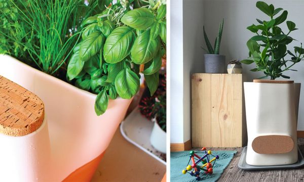 Plus jamais besoin d'arroser vos plantes grâce à ce pot de fleurs composteur !