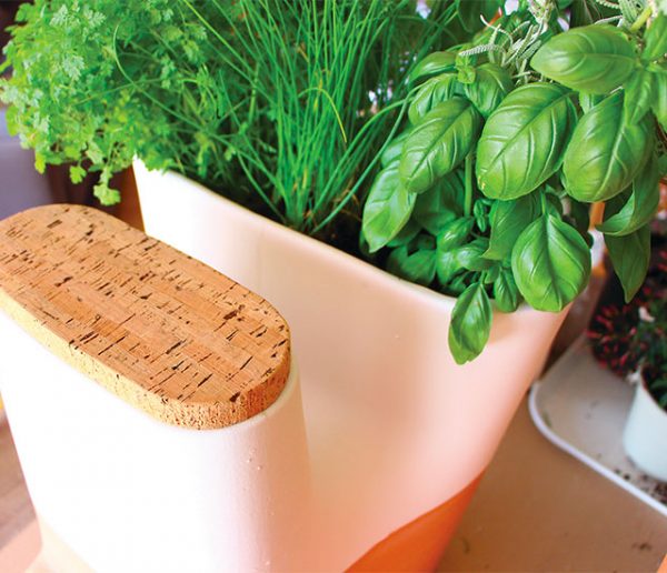 Plus jamais besoin d'arroser vos plantes grâce à ce pot de fleurs composteur !