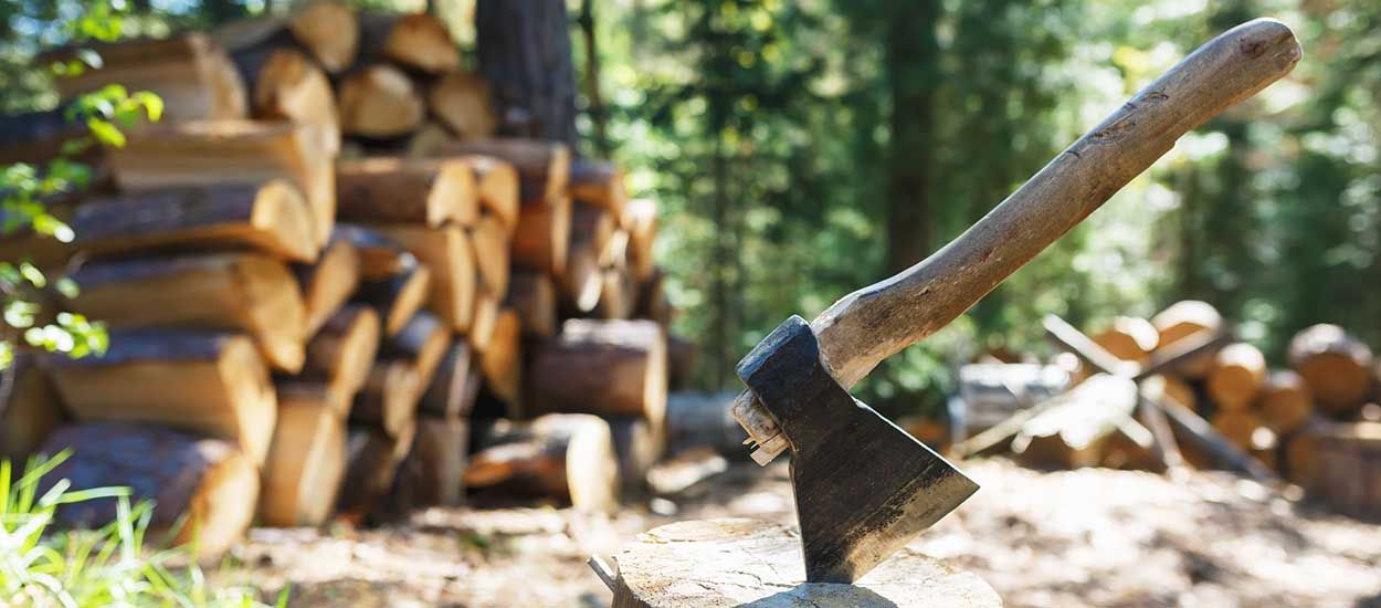 L'affouage permet aux particuliers de couper du bois dans la forêt