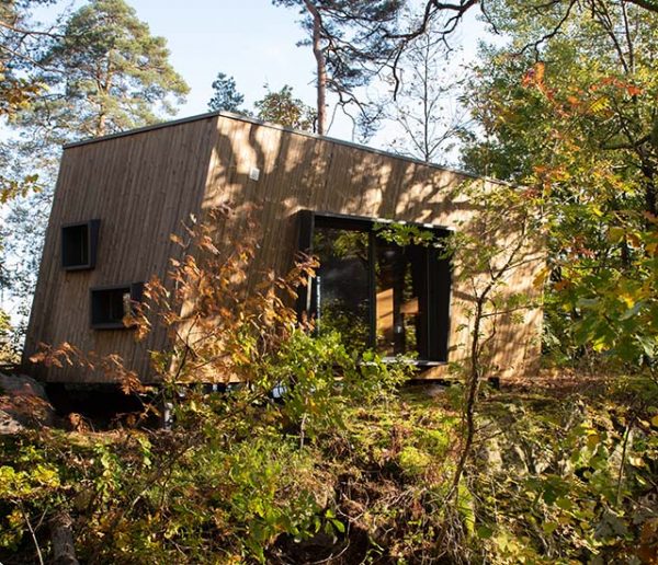 En Norvège, les enfants malades reprennent des forces dans des cabanes en forêt