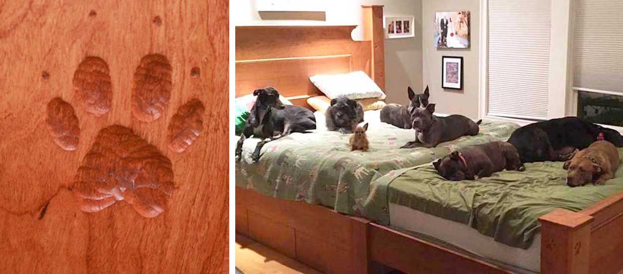 Ils ont construit un lit géant pour dormir avec leurs 8 chiens !