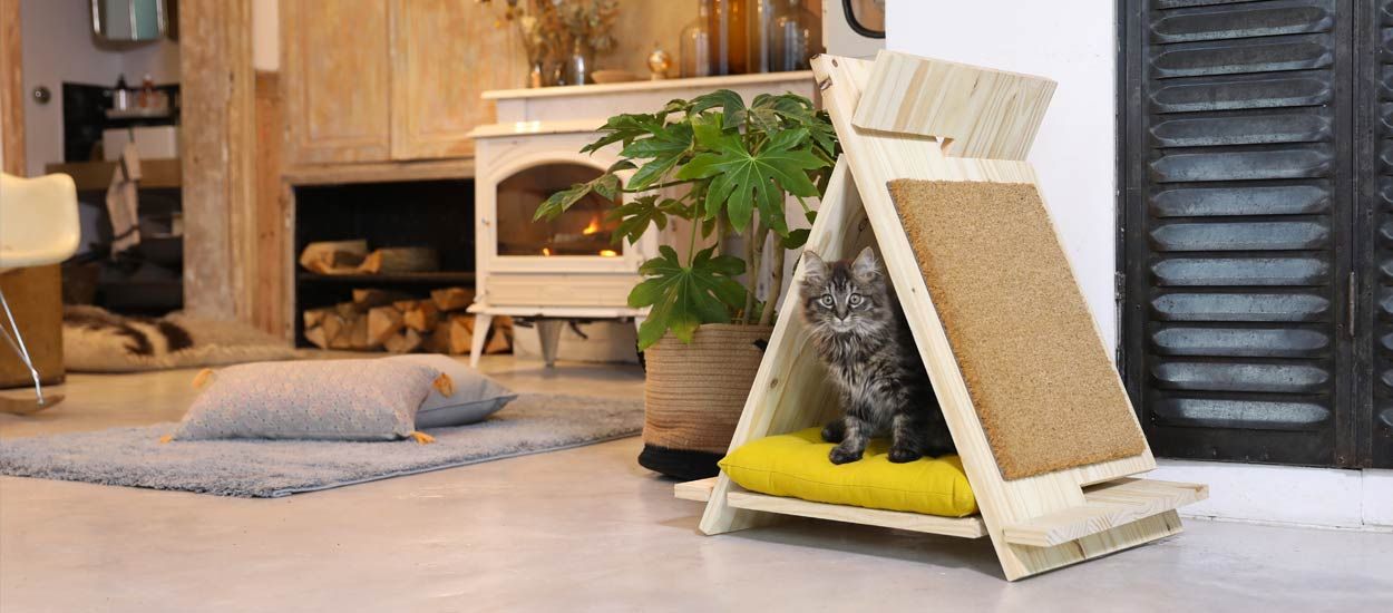 Tuto : Fabriquez le tipi en bois idéal pour votre chat !