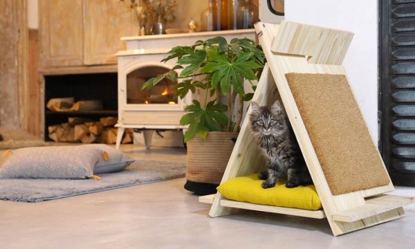 Tuto : Fabriquez le tipi en bois idéal pour votre chat !