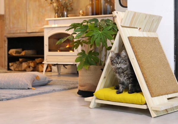 Diy Chat Une Petite Cabane En Bois En Forme De Tipi Pour Votre Chat