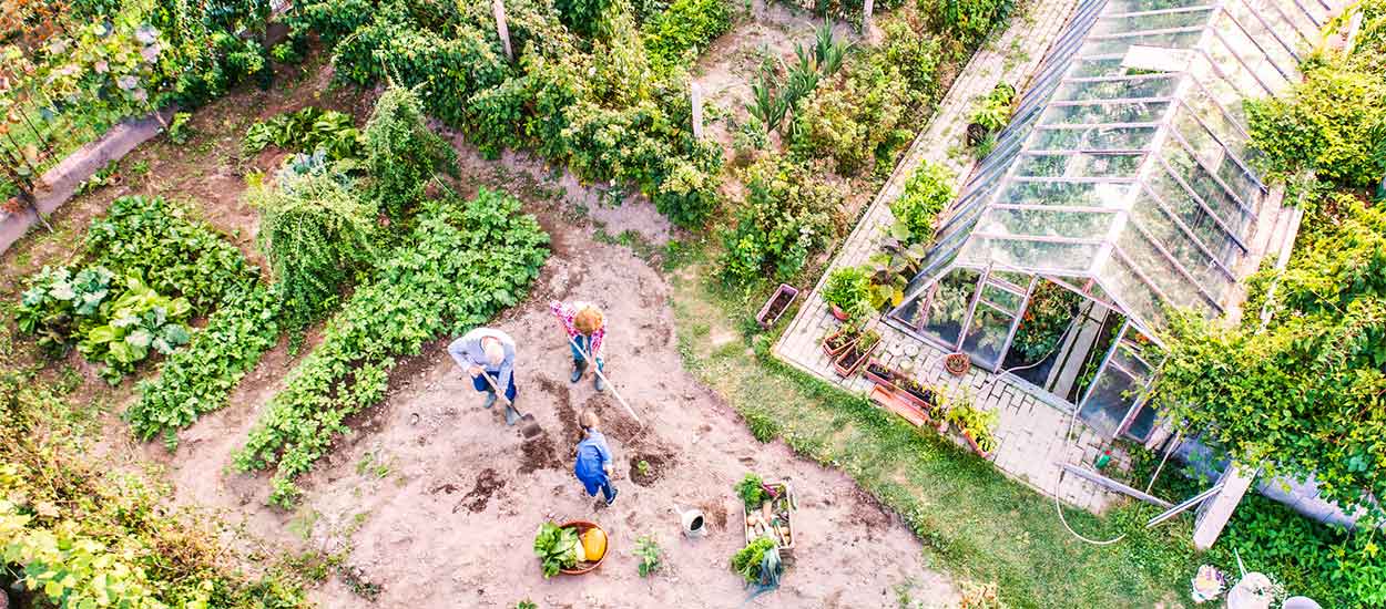 Comment planifier votre année au potager pour de beaux légumes sans efforts ?