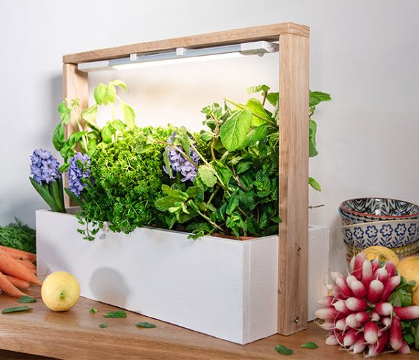 Tuto : Fabriquez un potager d'intérieur pour faire pousser vos aromates toute l'année !