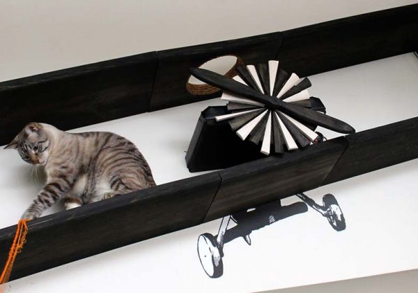 Comment Securiser Vos Fenetres Pour Que Votre Chat Ne Tombe Pas