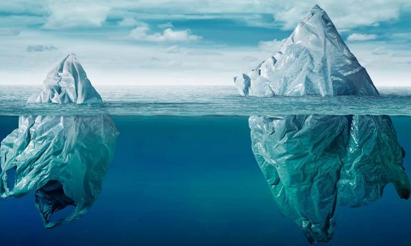 Zéro plastique dans la nature en 2030 : les solutions du WWF pour y parvenir