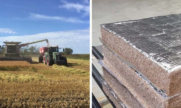 La paille de riz de Camargue n'est plus brûlée après récolte : elle isole les maisons