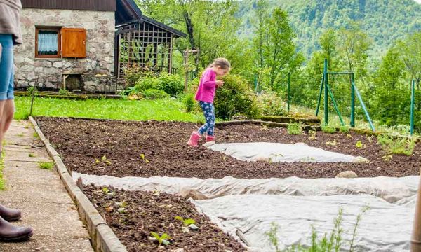 Les clés pour se lancer et créer facilement son premier potager