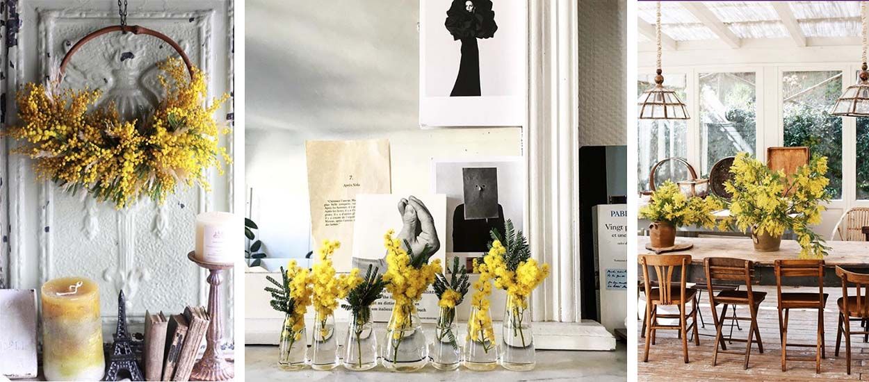 10 idées déco pour adopter le mimosa à la maison !