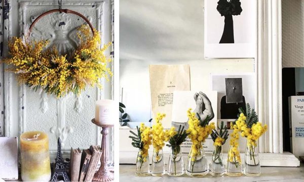 10 idées déco pour adopter le mimosa à la maison !