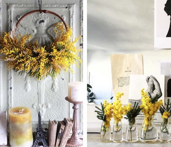 10 idées déco pour adopter le mimosa à la maison !