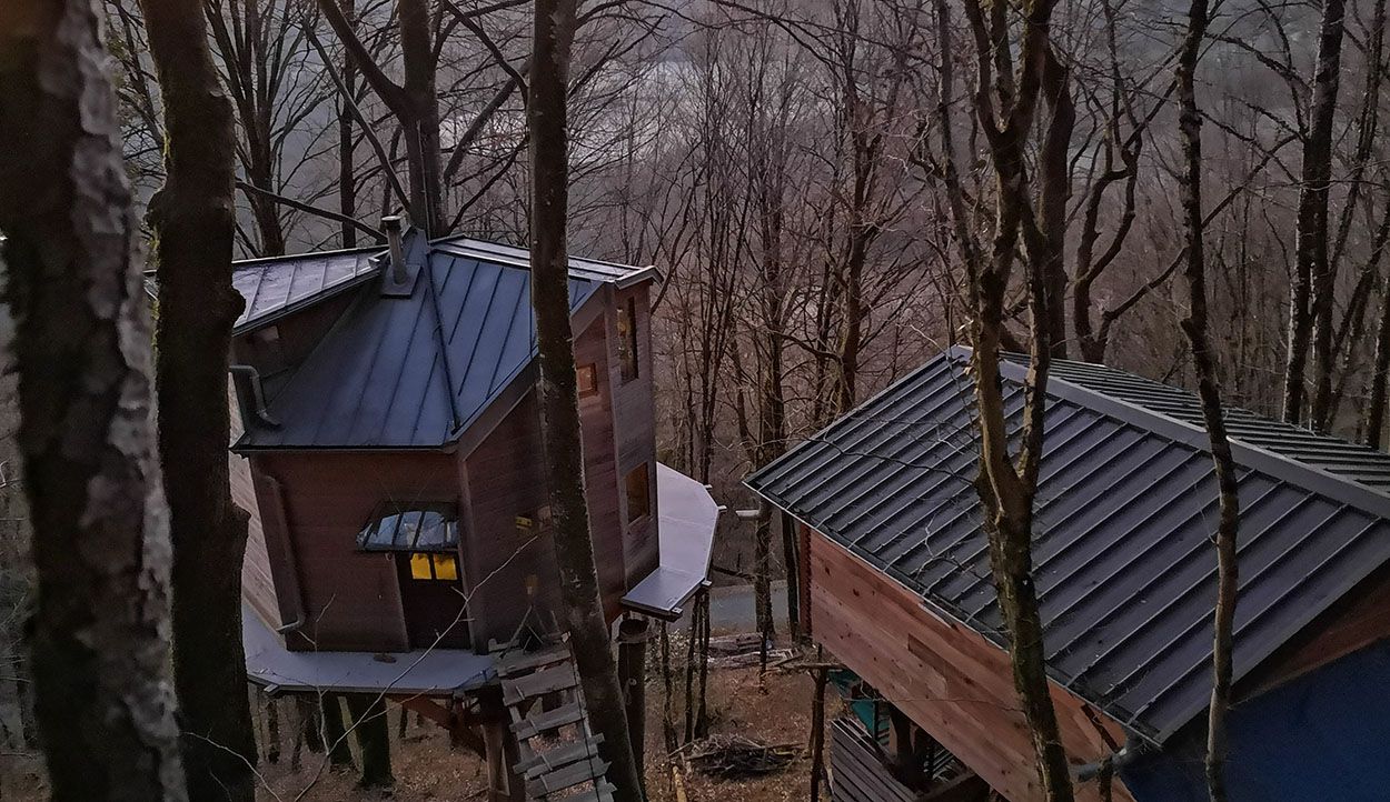 Il vit dans une cabane perchée dans les arbres mais on l'oblige à tout détruire