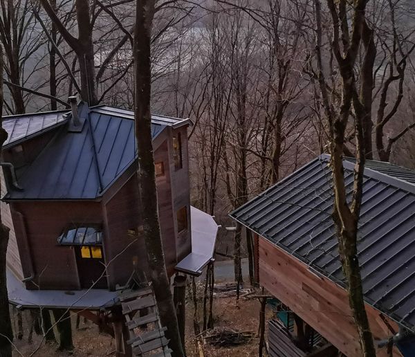 Il vit dans une cabane perchée dans les arbres mais on l'oblige à tout détruire