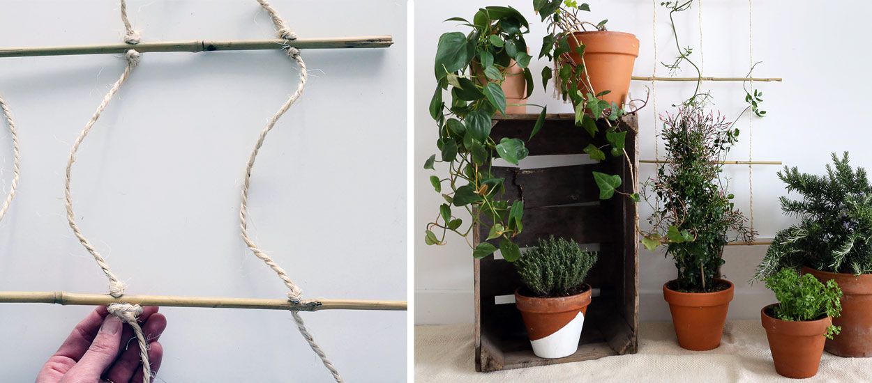 Tuto : Fabriquez un treillis tendance en bambou pour vos plantes grimpantes