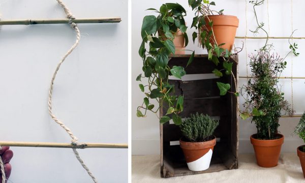 Tuto : Fabriquez un treillis tendance en bambou pour vos plantes grimpantes