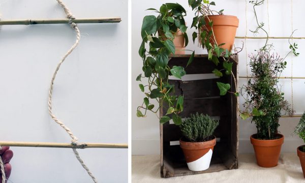 Comment construire un treillis en bambou pour vos plantes