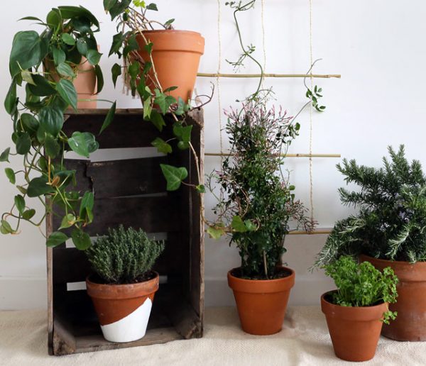 Tuto : Fabriquez un treillis tendance en bambou pour vos plantes grimpantes