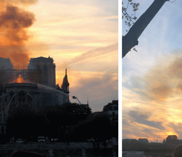 Voici comment vous pouvez contribuer à la reconstruction de Notre-Dame de Paris