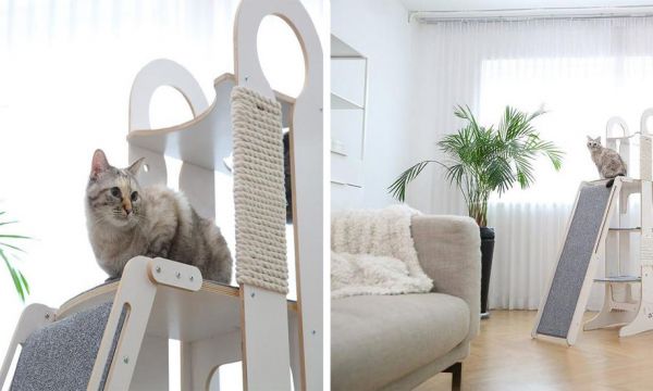 Et si vous offriez un parc d'attraction à votre chat ?