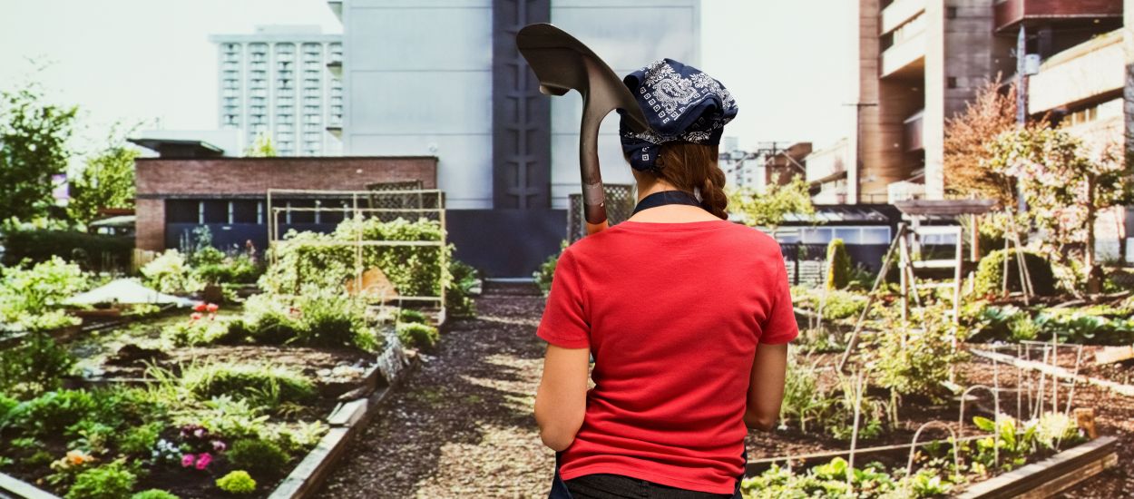 5 astuces étonnantes pour se lancer dans l'agriculture urbaine facilement