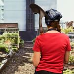 Potager agriculture urbaine toit végétalisé jardin