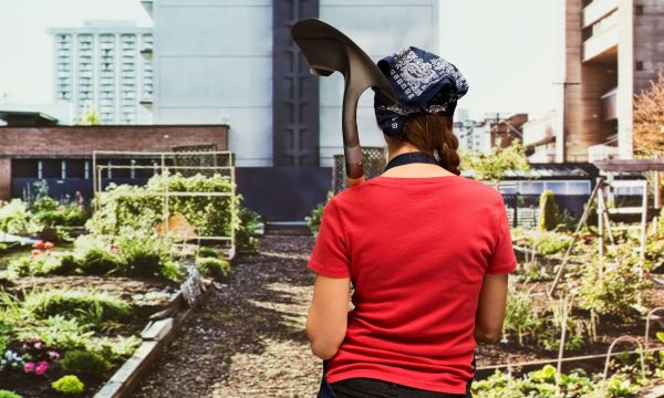 5 astuces étonnantes pour se lancer dans l'agriculture urbaine facilement