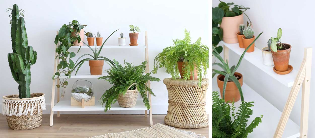 Comment créer une étagère pour poser vos plantes d'intérieur ?