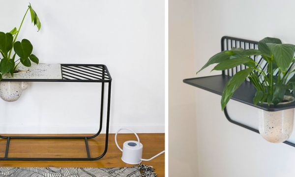 Ce meuble nourrit vos plantes de façon autonome