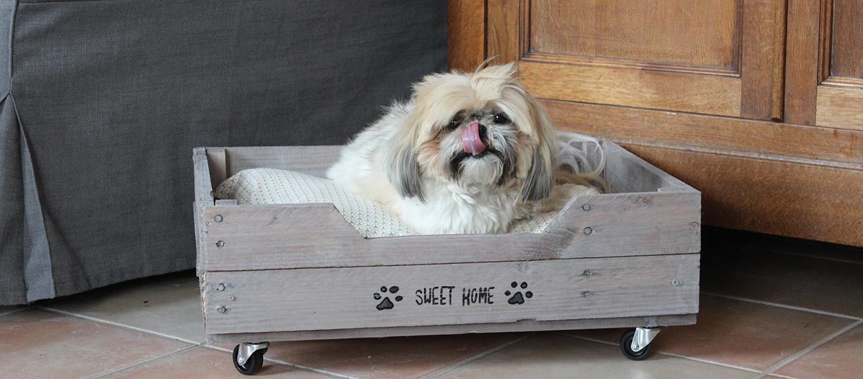 DIY : Construire un panier pour chien avec des matériaux de