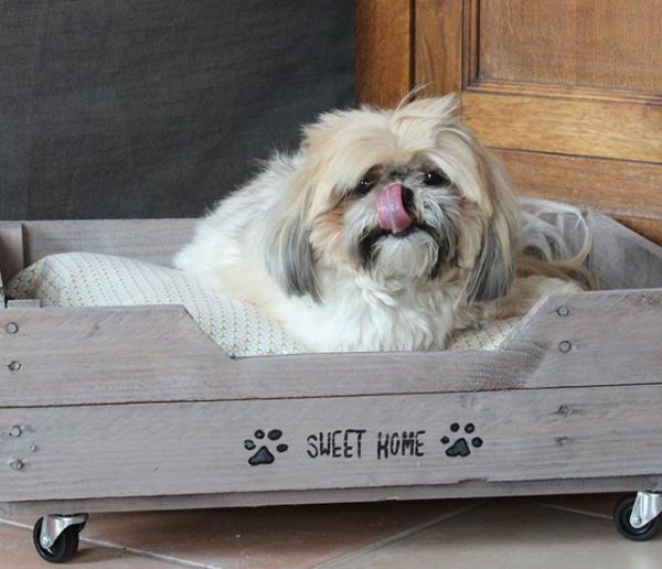 Tuto : Fabriquez un adorable lit en palette sur roulettes pour votre chien !