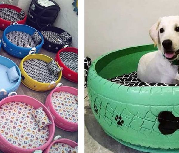 DIY : 20 idées de paniers pour chiens et chats — Autour des animaux