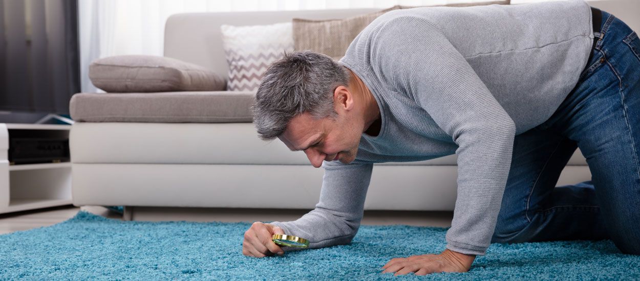 De quoi est constitué la poussière qui se trouve dans la maison ?