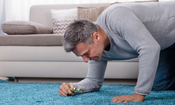 De quoi est constitué la poussière qui se trouve dans la maison ?