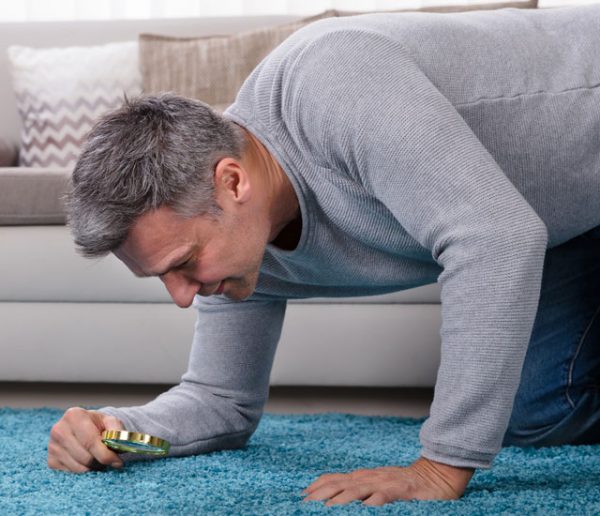 De quoi est constitué la poussière qui se trouve dans la maison ?