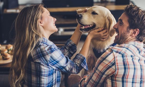 Comment convaincre son conjoint d'avoir un chien ?