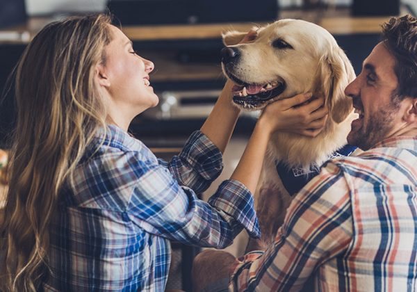 Adopter Un Chien Les Arguments Pour Convaincre Son Conjoint