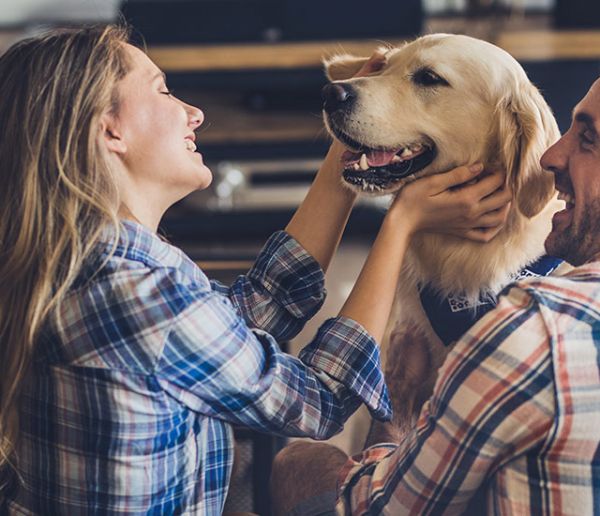 Comment convaincre son conjoint d'avoir un chien ?