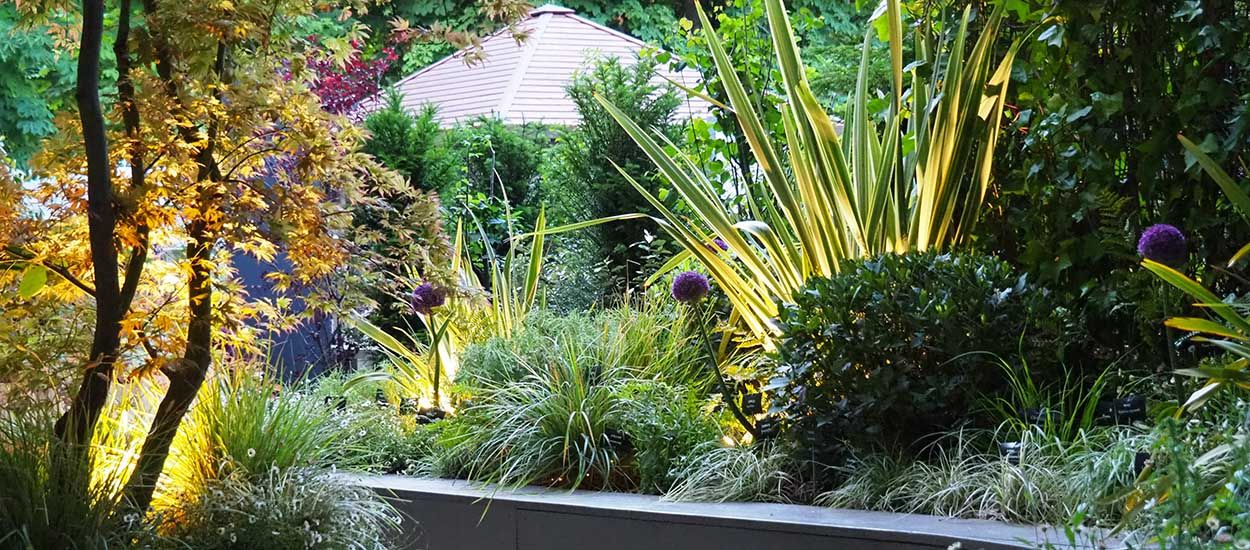 3 conseils pour illuminer votre jardin et éclairer vos arbres