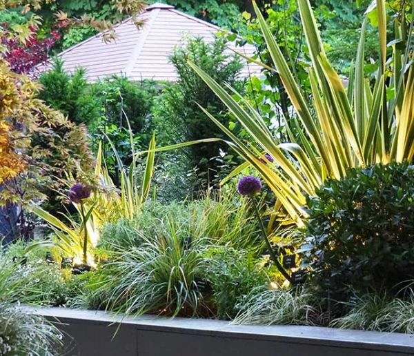 3 conseils d'éclairage pour mettre en valeur vos plantes dans le jardin